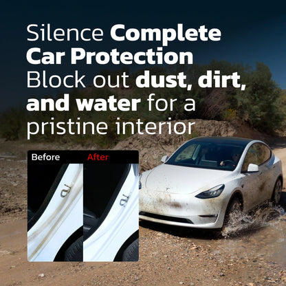 Tesarox-car-hub-ProGuard